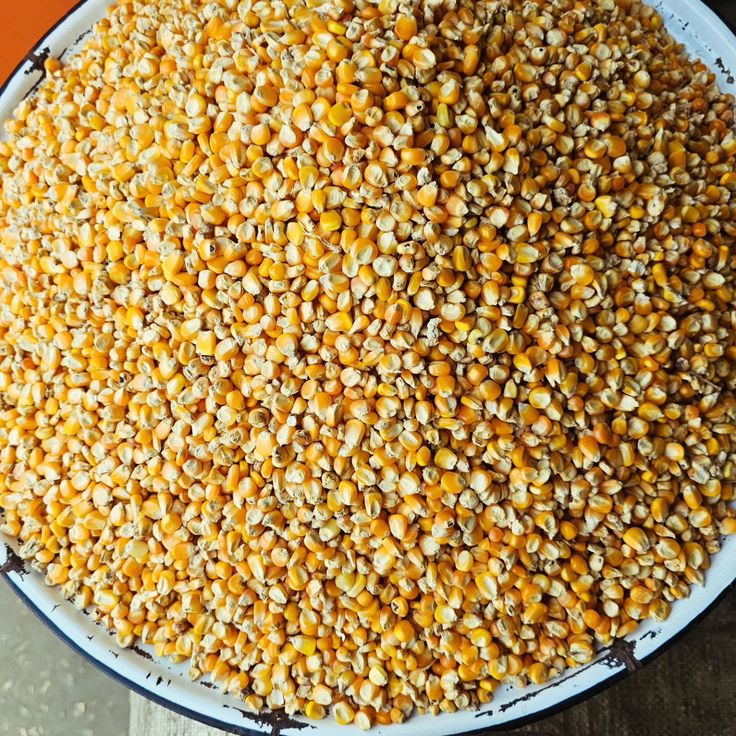 Broken Maize