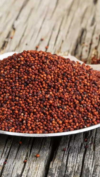 Finger Millet (Ragi)